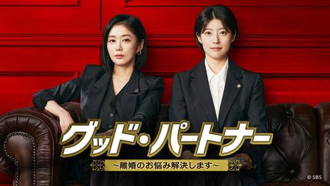 「グッド・パートナー～離婚のお悩み解決します～」から「わたしの完璧な秘書」まで 【仕事・愛・人生の転機】没入必至の年末年始韓国ドラマ9選