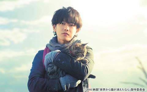 2月22日は「猫の日」！佐藤健主演『世界から猫が消えたなら』など猫関連作に注目