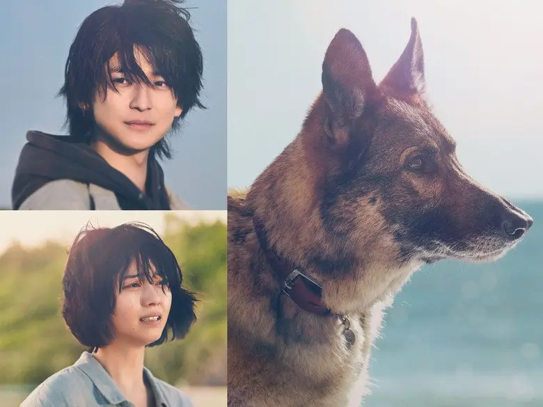 映画『少年と犬』　2025年3月20日（木）公開
