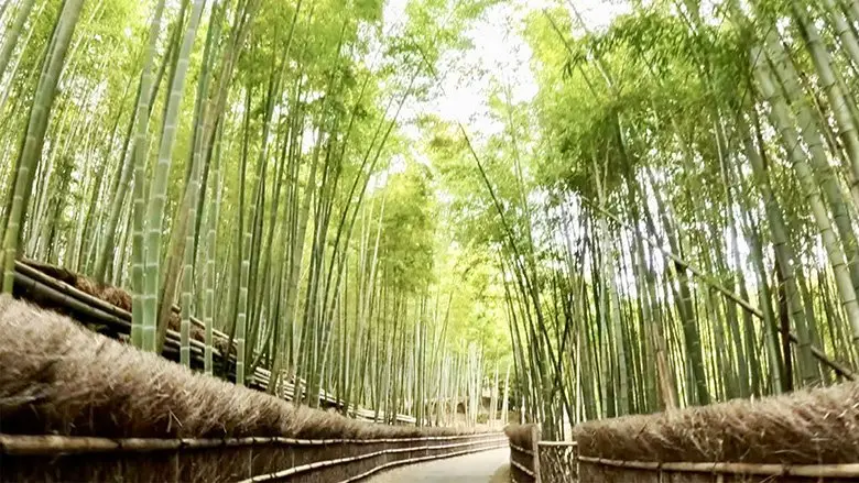 20260227_nihontabi_03.webp