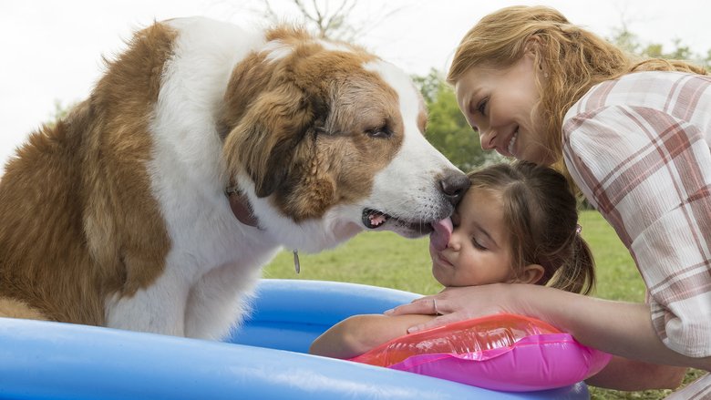 感動作からドキュメンタリーまで、「犬の日」はワンコに癒されたい！