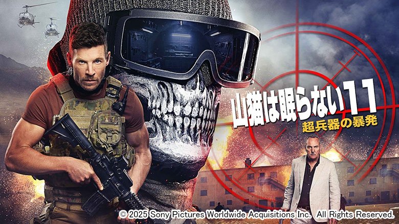 山猫は眠らない11 超兵器の暴発【R-15】