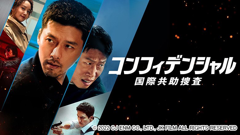 コンフィデンシャル：国際共助捜査