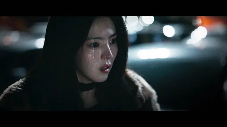 260416_projecty04.webp
