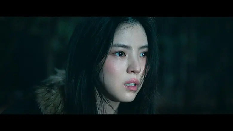 260416_projecty05.webp