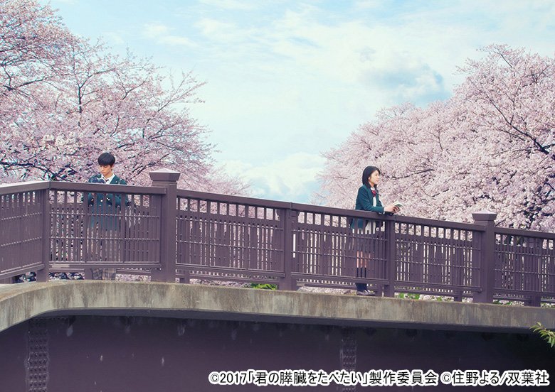 君の膵臓をたべたい