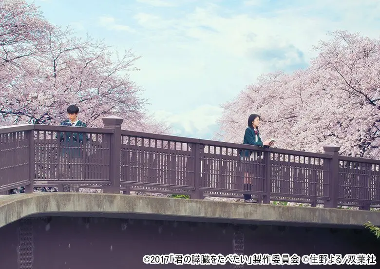 君の膵臓をたべたい
